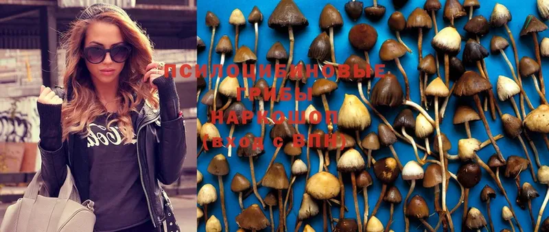 Галлюциногенные грибы MAGIC MUSHROOMS  Белорецк 